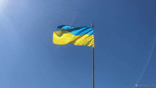 В Киеве признали, что Украина не готова вести мирные переговоры с Россией В Киеве признали, что Украина не готова вести мирные переговоры с Россией