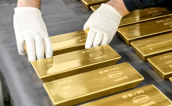 Минфин назвал перешедшие государству активы, которые выставят на продажу
Минфин назвал перешедшие государству активы, которые выставят на продажу